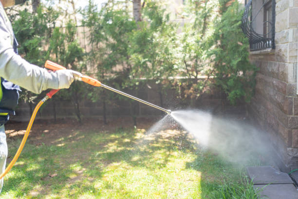 Best Wasp Removal Services  in Knoxvle, IL