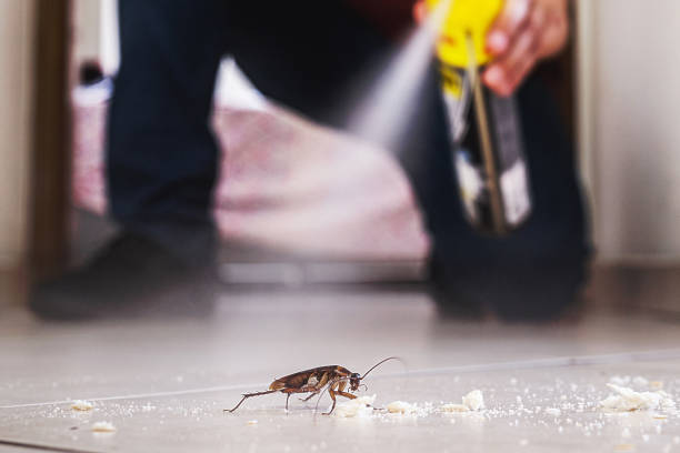 Best Residential Pest Control  in Knoxvle, IL