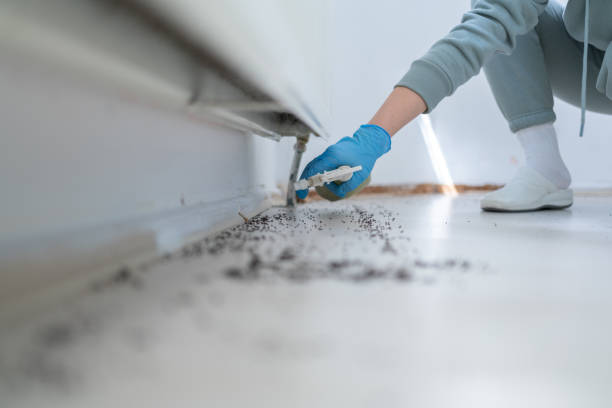 Best Cockroach Control Services  in Knoxvle, IL